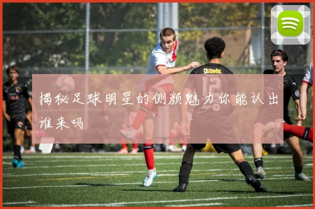 揭秘足球明星的侧颜魅力你能认出谁来吗
