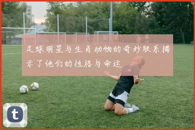 足球明星与生肖动物的奇妙联系揭示了他们的性格与命运