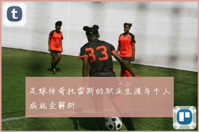 足球传奇托雷斯的职业生涯与个人成就全解析
