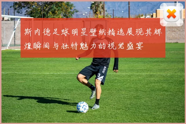 斯内德足球明星壁纸精选展现其辉煌瞬间与独特魅力的视觉盛宴