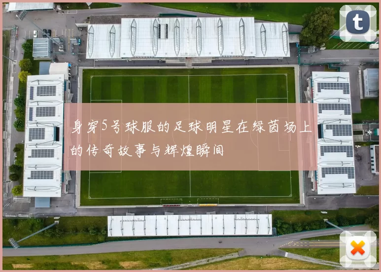身穿5号球服的足球明星在绿茵场上的传奇故事与辉煌瞬间