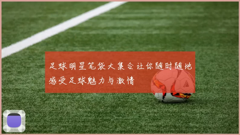 足球明星笔袋大集合让你随时随地感受足球魅力与激情