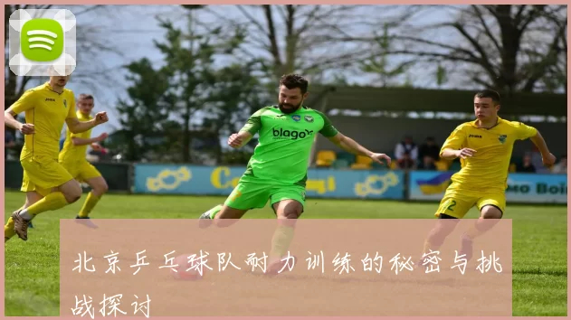 北京乒乓球队耐力训练的秘密与挑战探讨