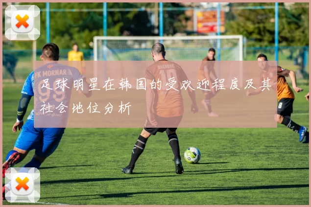 足球明星在韩国的受欢迎程度及其社会地位分析