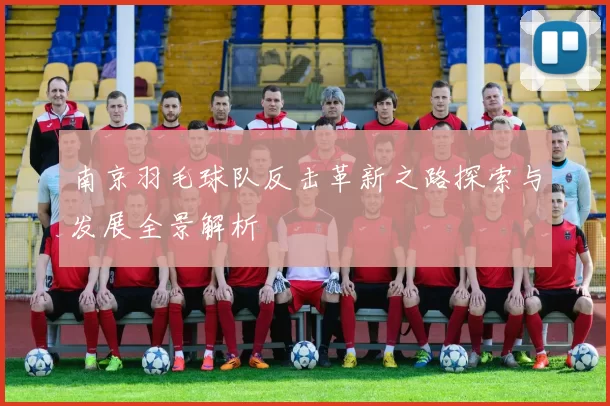 南京羽毛球队反击革新之路探索与发展全景解析
