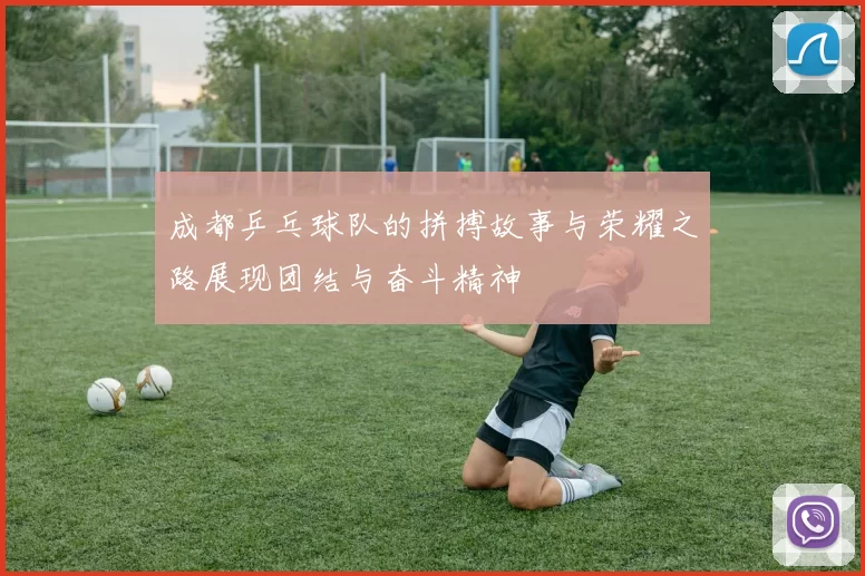 成都乒乓球队的拼搏故事与荣耀之路展现团结与奋斗精神