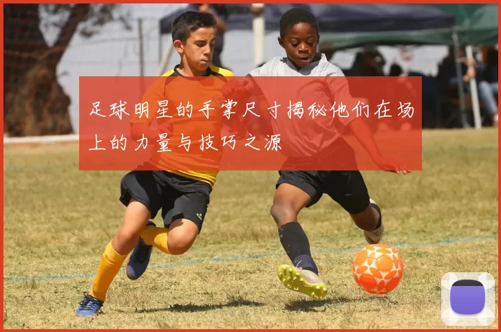 足球明星的手掌尺寸揭秘他们在场上的力量与技巧之源