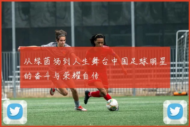 从绿茵场到人生舞台中国足球明星的奋斗与荣耀自传