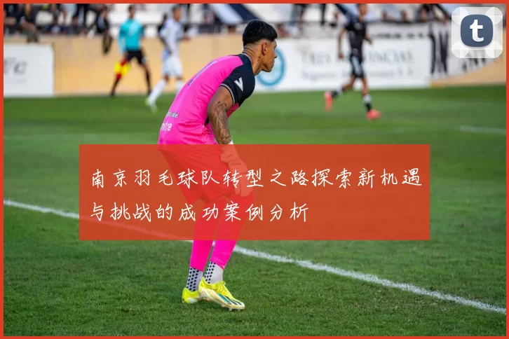 南京羽毛球队转型之路探索新机遇与挑战的成功案例分析