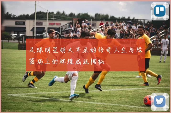 足球明星胡大耳朵的传奇人生与绿茵场上的辉煌成就揭秘