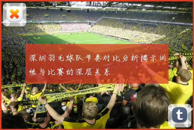 深圳羽毛球队节奏对比分析揭示训练与比赛的深层关系