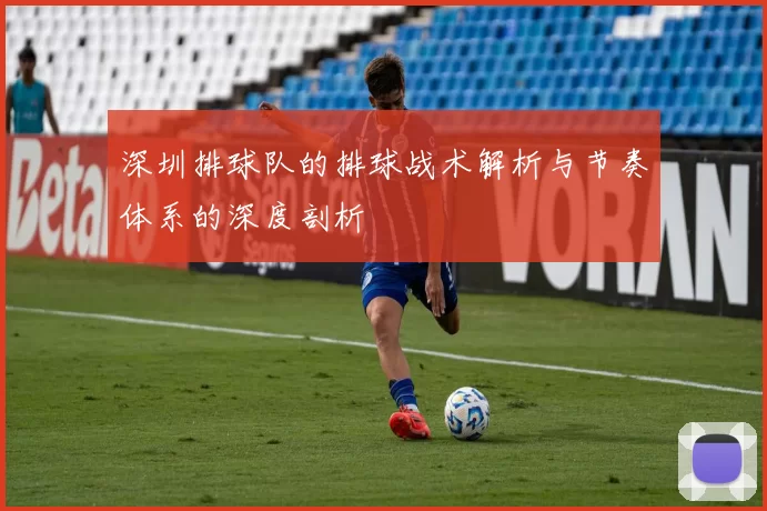 深圳排球队的排球战术解析与节奏体系的深度剖析