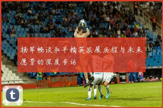 杨军畅谈和平精英发展历程与未来愿景的深度专访