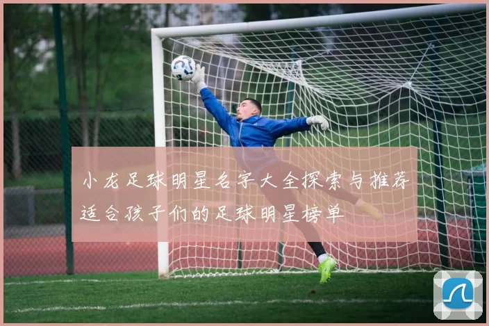 小龙足球明星名字大全探索与推荐适合孩子们的足球明星榜单