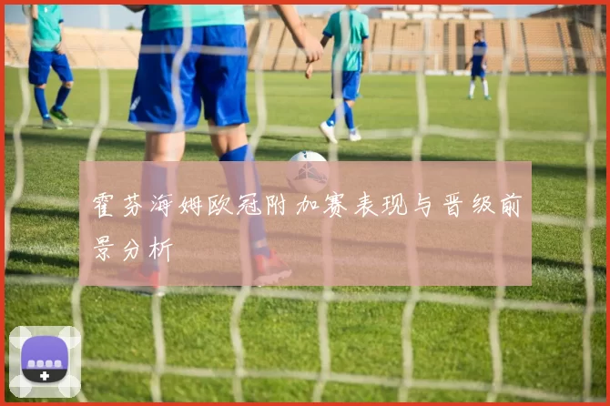 霍芬海姆欧冠附加赛表现与晋级前景分析