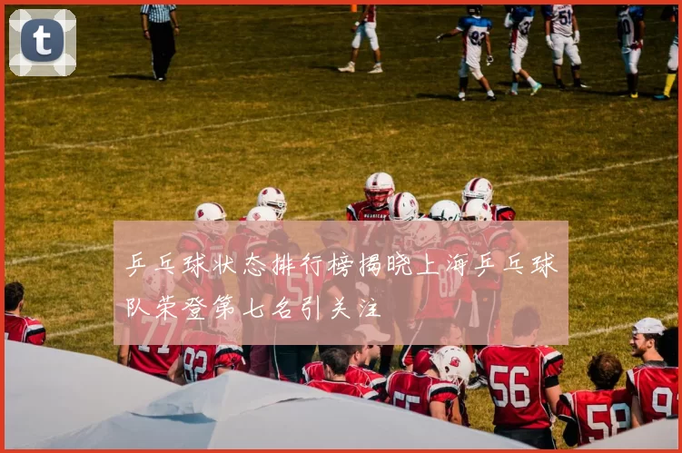 乒乓球状态排行榜揭晓上海乒乓球队荣登第七名引关注
