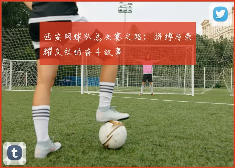 西安网球队总决赛之路：拼搏与荣耀交织的奋斗故事