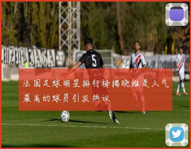 法国足球明星排行榜揭晓谁是人气最高的球员引发热议