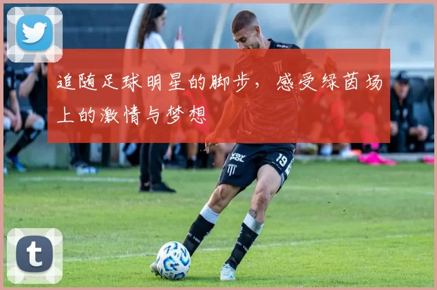 追随足球明星的脚步，感受绿茵场上的激情与梦想