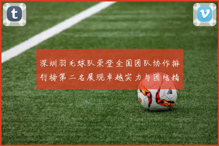 深圳羽毛球队荣登全国团队协作排行榜第二名展现卓越实力与团结精神