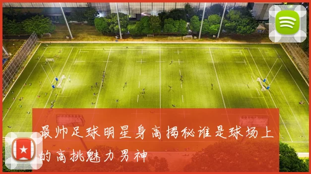 最帅足球明星身高揭秘谁是球场上的高挑魅力男神