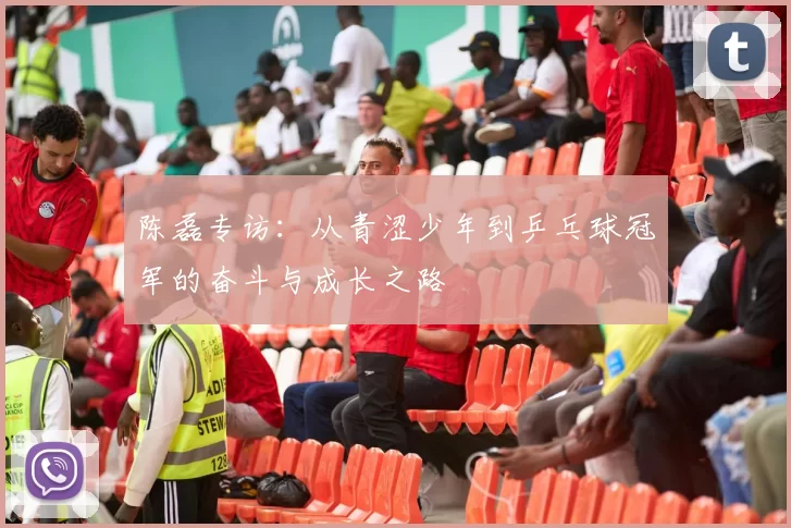 陈磊专访：从青涩少年到乒乓球冠军的奋斗与成长之路