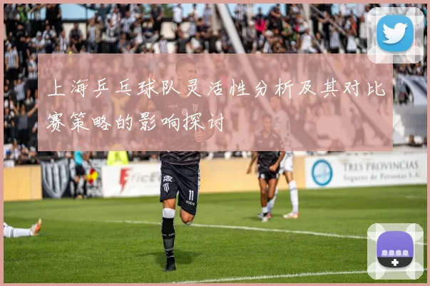 上海乒乓球队灵活性分析及其对比赛策略的影响探讨