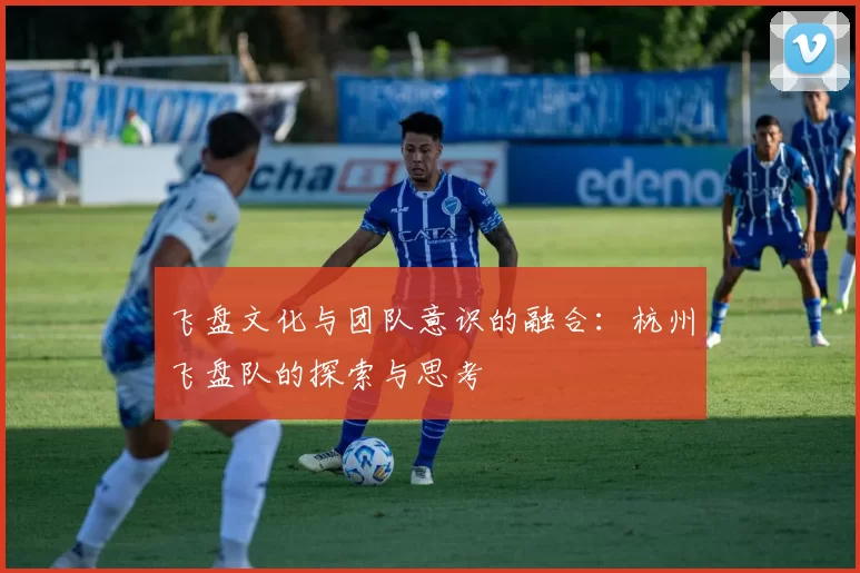 飞盘文化与团队意识的融合：杭州飞盘队的探索与思考