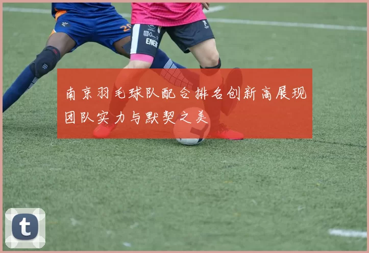 南京羽毛球队配合排名创新高展现团队实力与默契之美