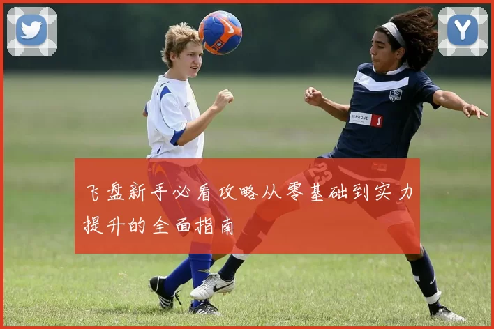 飞盘新手必看攻略从零基础到实力提升的全面指南