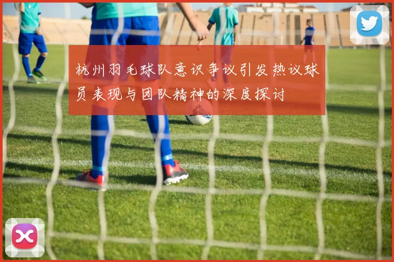 杭州羽毛球队意识争议引发热议球员表现与团队精神的深度探讨