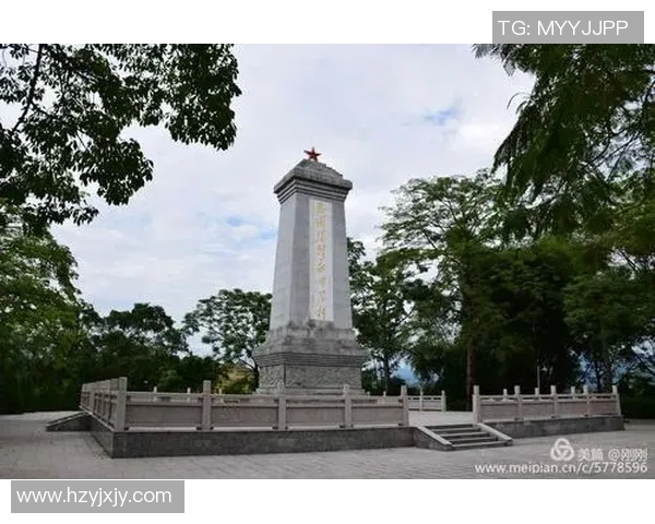 维德尔与富里巅峰对决直播视频全程回放精彩瞬间不容错过